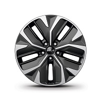 19 inch alloy wheel Air and Earth models