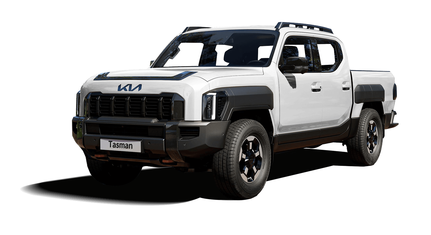 Tasman